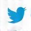 Twitter Icon